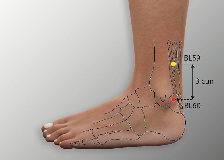 BL60 acupuncture point location - Acupoints.org