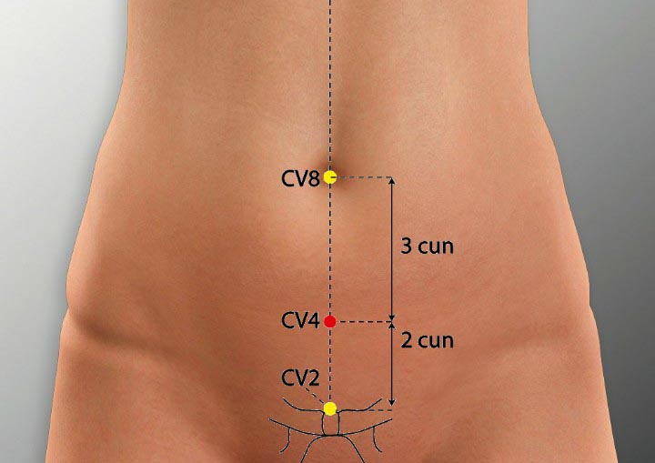 CV4 acupuncture point location - Acupoints.org