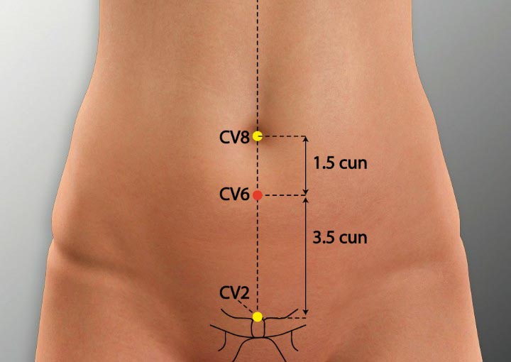 CV6 acupuncture point location - Acupoints.org