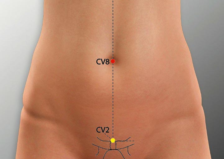CV8 acupuncture point location - Acupoints.org
