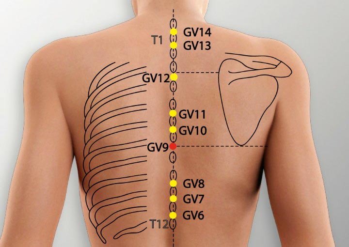 GV9 acupuncture point location - Acupoints.org