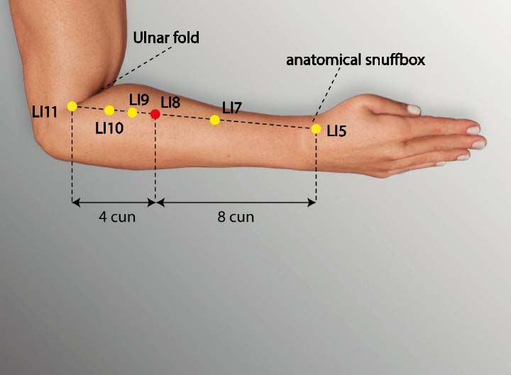 Li8 acupuncture point location - Acupoints.org