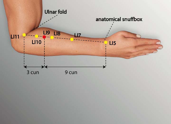 Li9 acupuncture point location - Acupoints.org