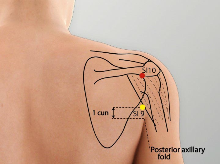Si10 acupuncture point location - Acupoints.org
