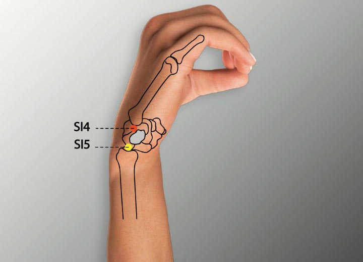 Si4 acupuncture point location - Acupoints.org
