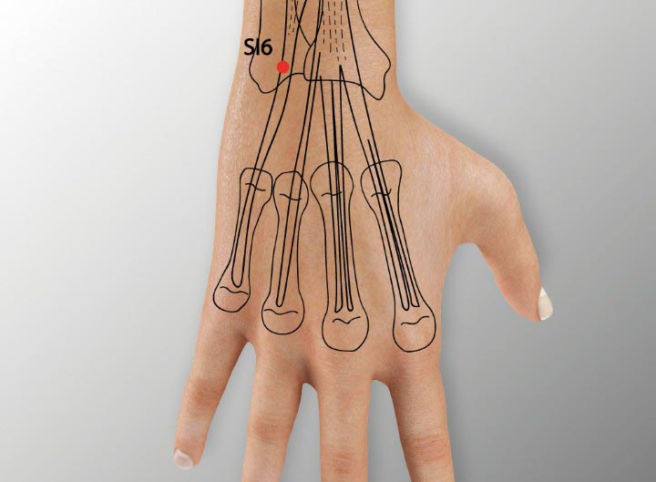 Si6 acupuncture point location - Acupoints.org