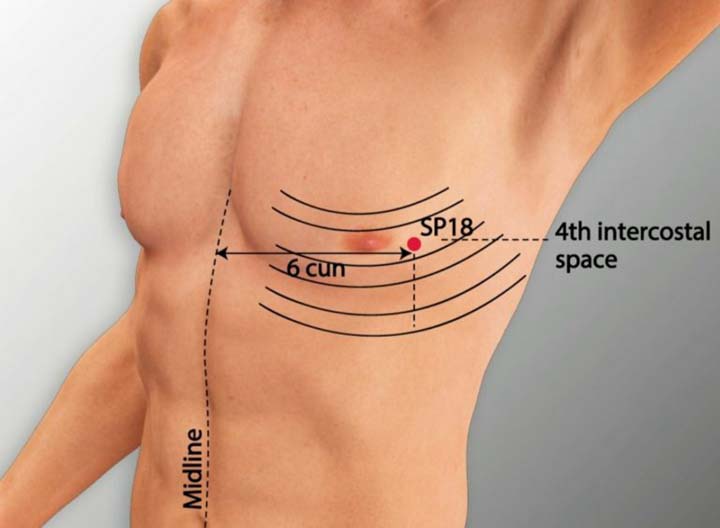 Sp18 acupuncture point location - Acupoints.org