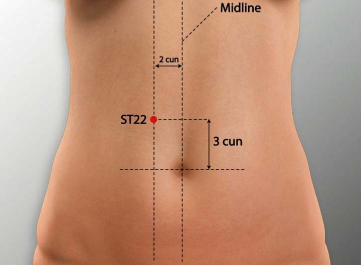 St22 acupuncture point location - Acupoints.org