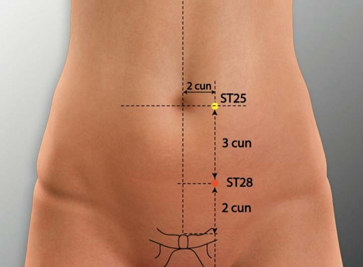 St28 acupuncture point location - Acupoints.org