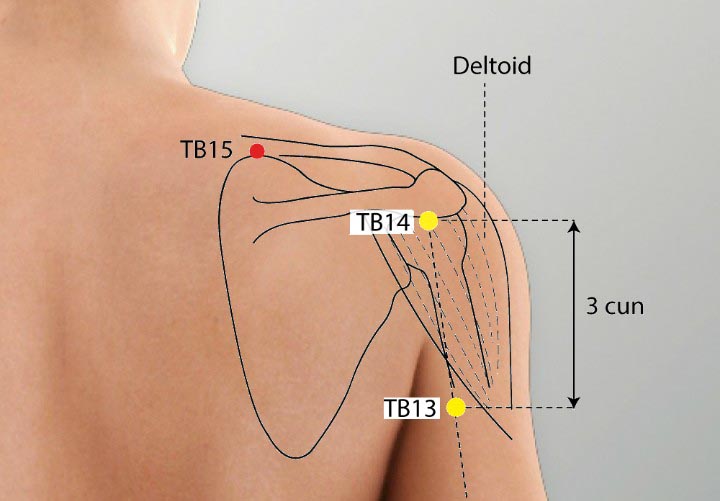 TE15 acupuncture point location - Acupoints.org
