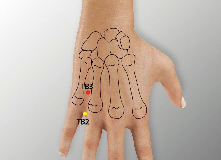 TE3 acupuncture point location - Acupoints.org