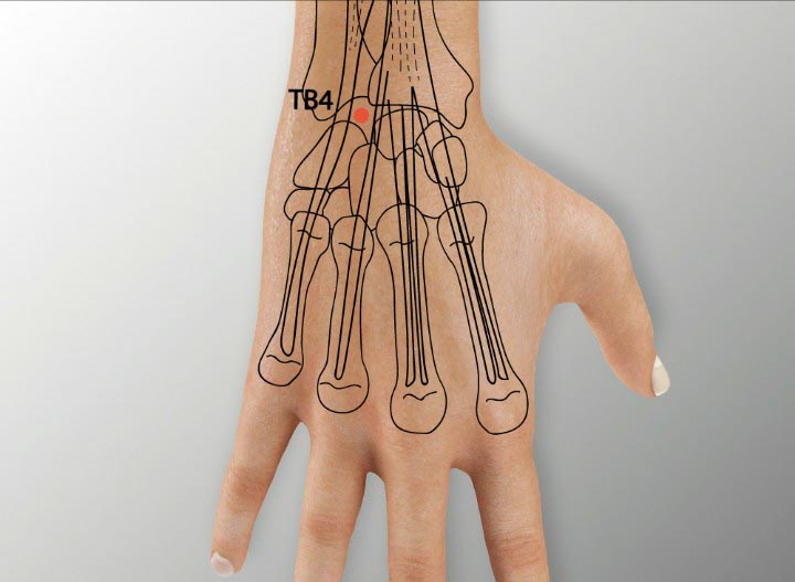 TE4 acupuncture point location - Acupoints.org