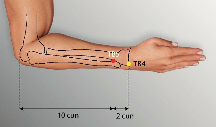 TE5 acupuncture point location - Acupoints.org