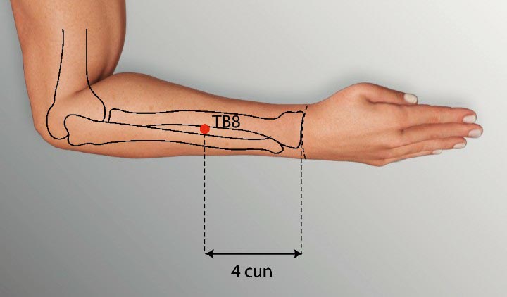 TE8 acupuncture point location - Acupoints.org